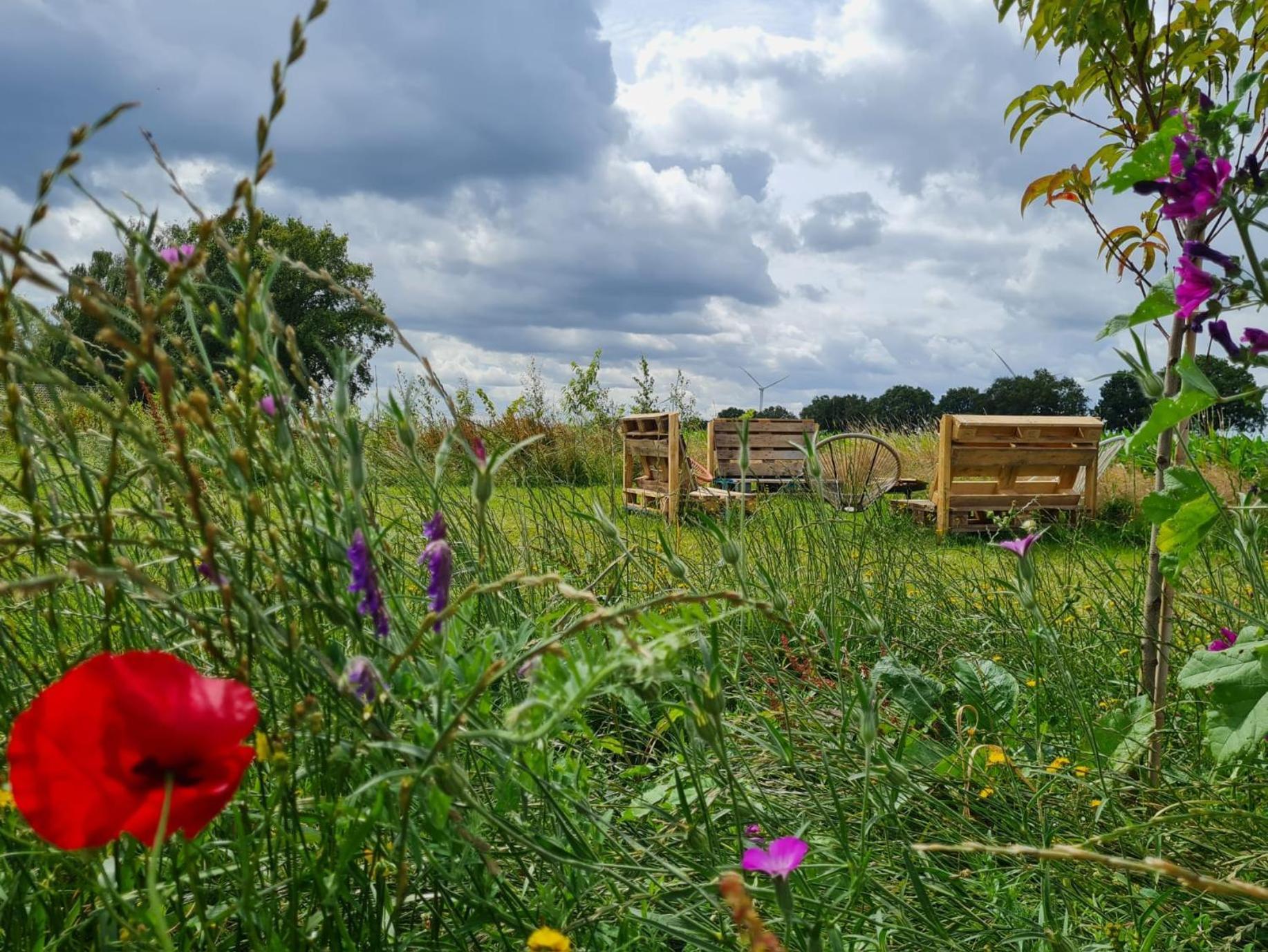 Bell Tent In Een Voedselbos Nederweert-Eind Luaran gambar